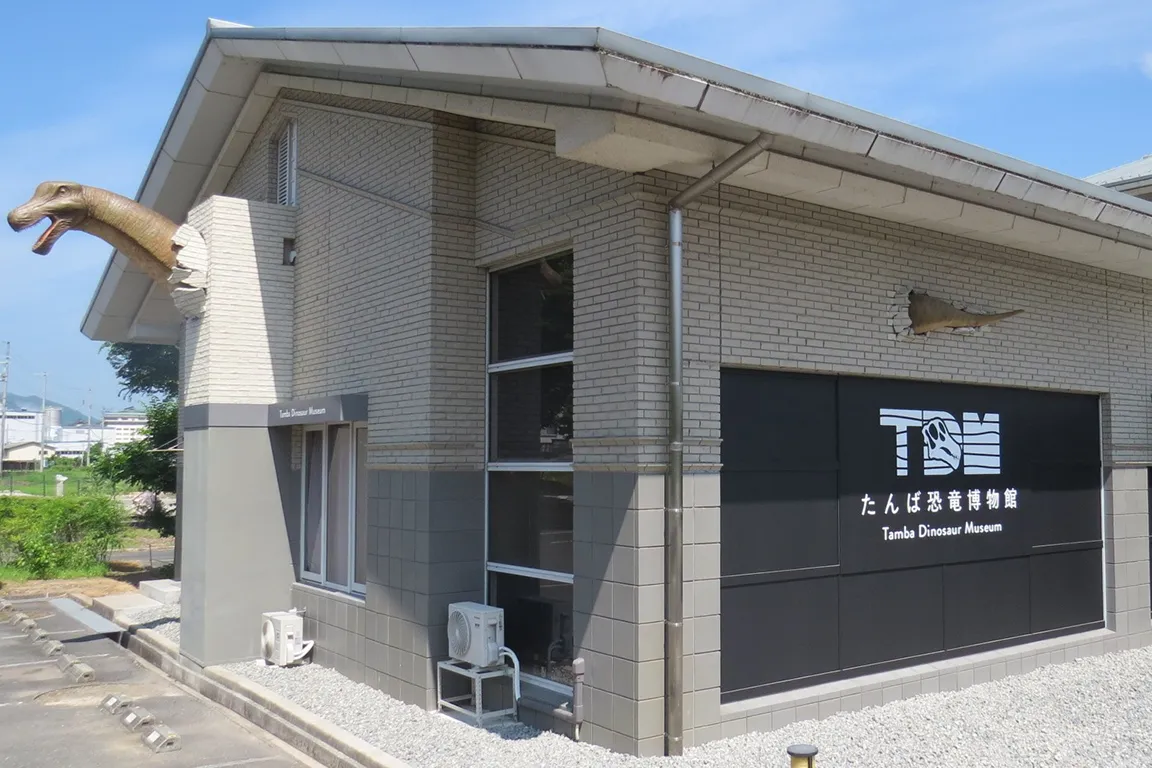 丹波市立たんば恐竜博物館 / 丹波竜